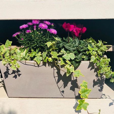 “Oltre Il Confine” Apartment Belluno Exterior foto