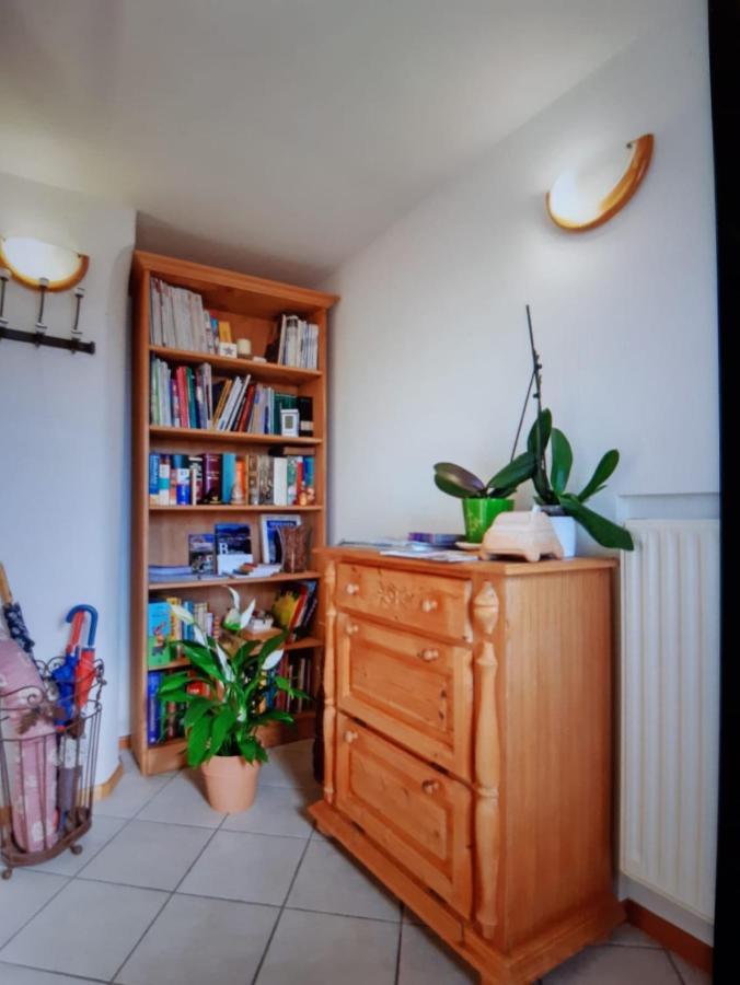 “Oltre Il Confine” Apartment Belluno Exterior foto
