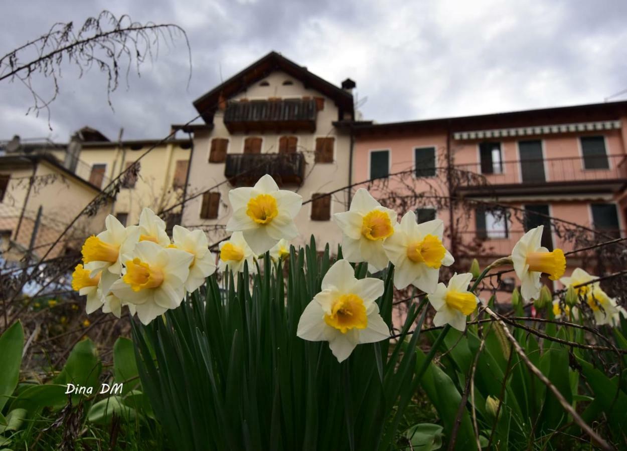 “Oltre Il Confine” Apartment Belluno Exterior foto